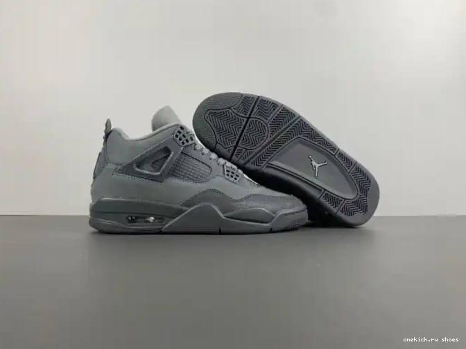 Cheap Air Paris 4 Jordan SE Olympics 0511